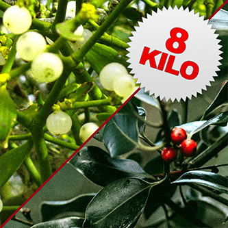 8 Kilos of Mistletoe & Holly
