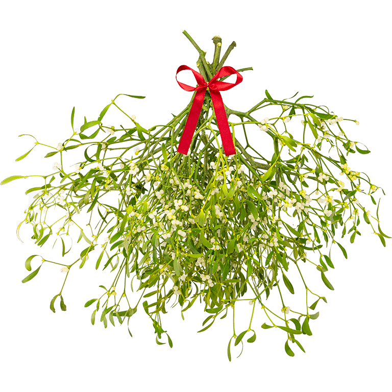 Globe of Mistletoe