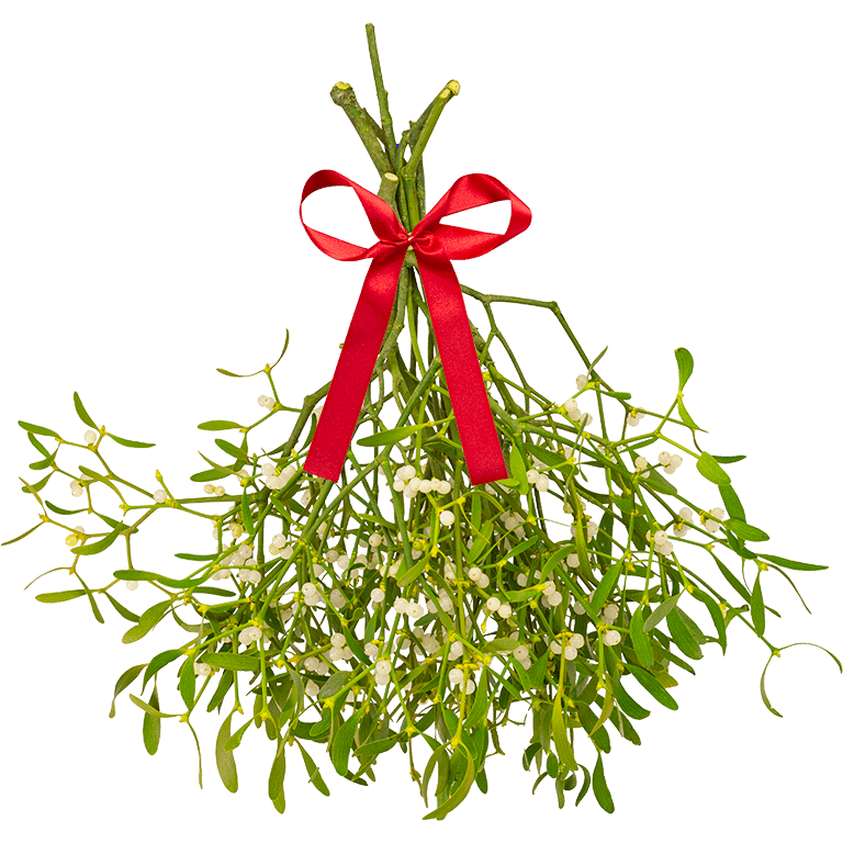 Ball of Mistletoe