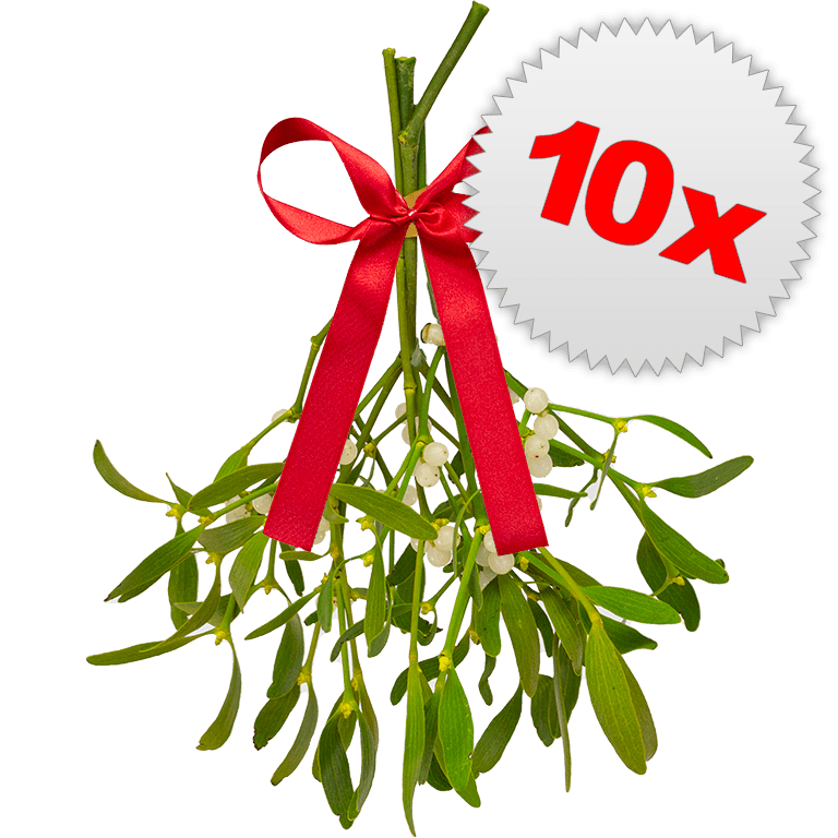 10 x Large Bunches of Mistletoe
