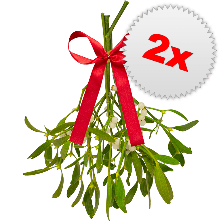 2 x Classic Bunches of Mistletoe