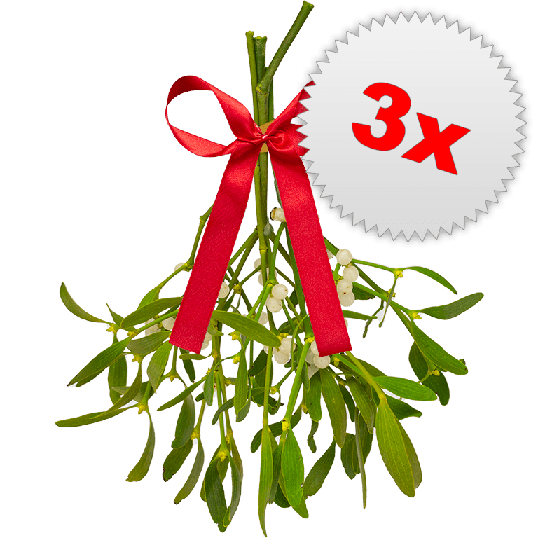 3 x Large Bunches of Mistletoe