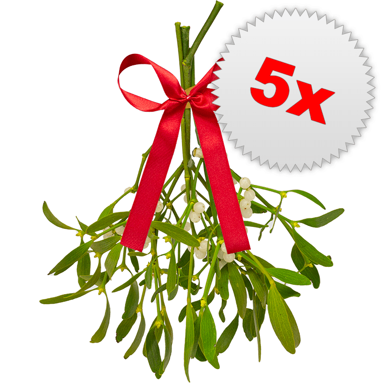 5 x Classic Bunches of Mistletoe