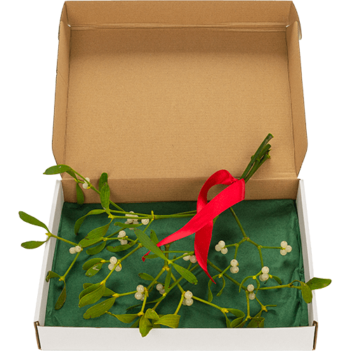 Sprigs of Mistletoe