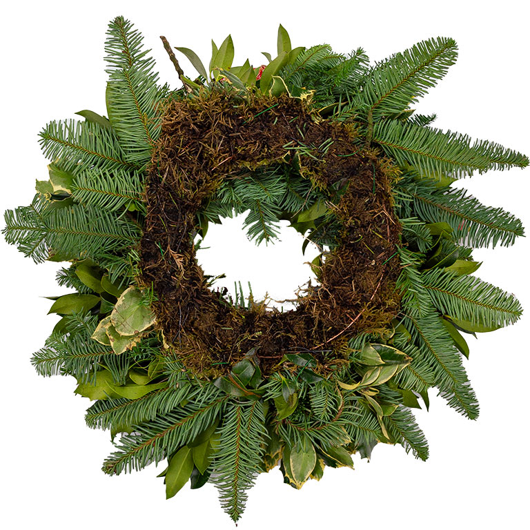 Wreath mossed back