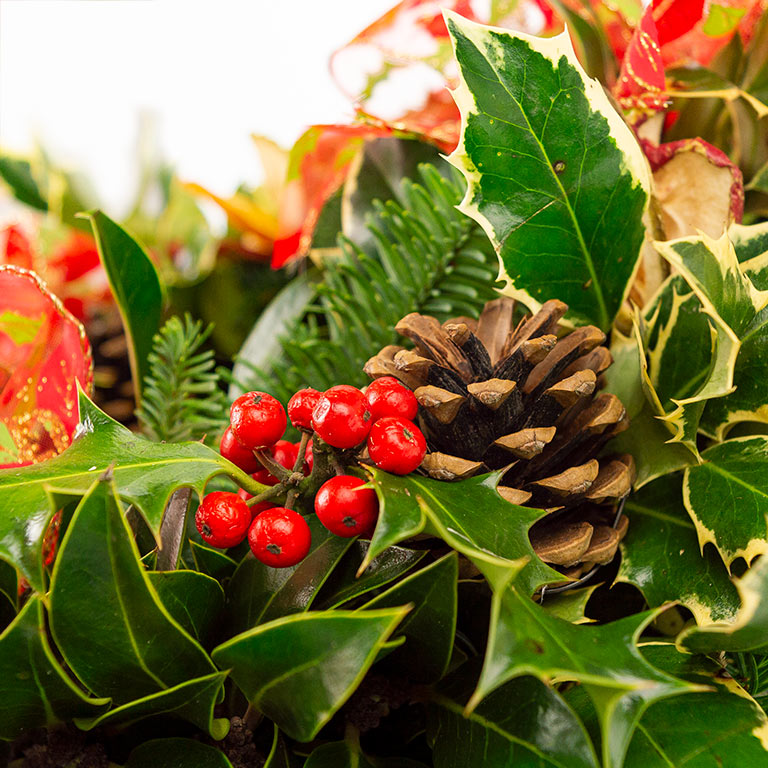 Wreath berries